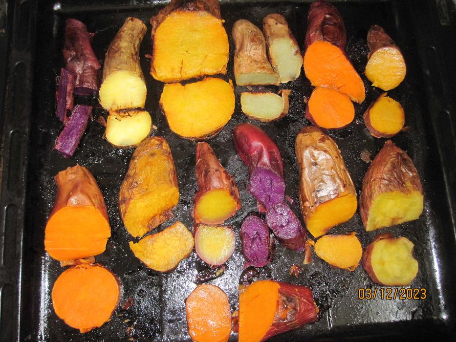 Батат маточные клубни 20 грн    рассада 10грн