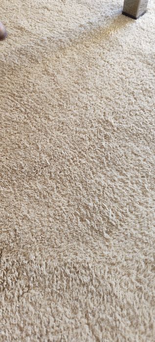 Carpete escritório 100% lã.  Também dá para mesa de jantar