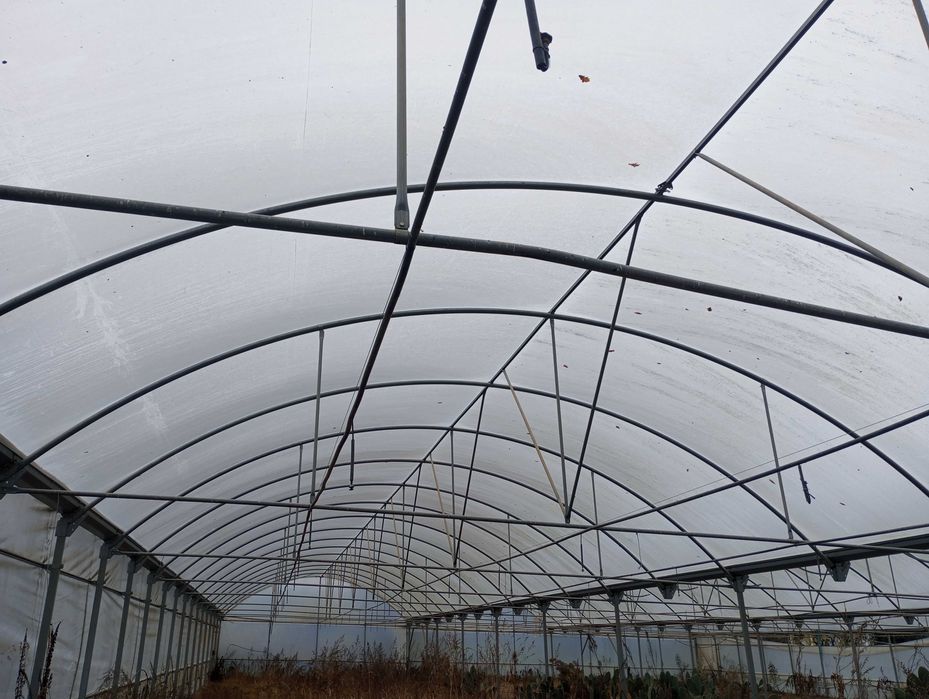 Estufa agrícola com 2100m2