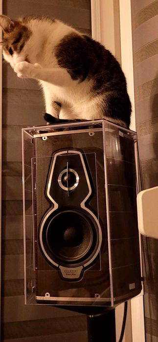 Osłony obudowy na Sonus Faber Guarneri