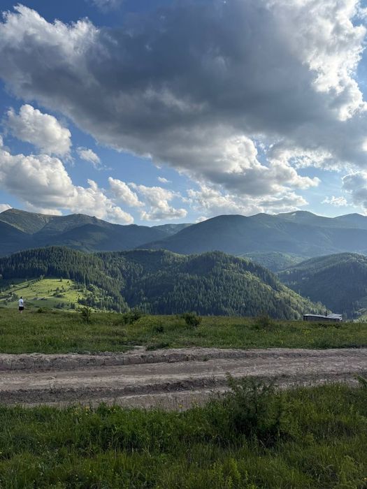 Рівна ділянка, під будову. Межує з лісом. 40 соток в Дземброні