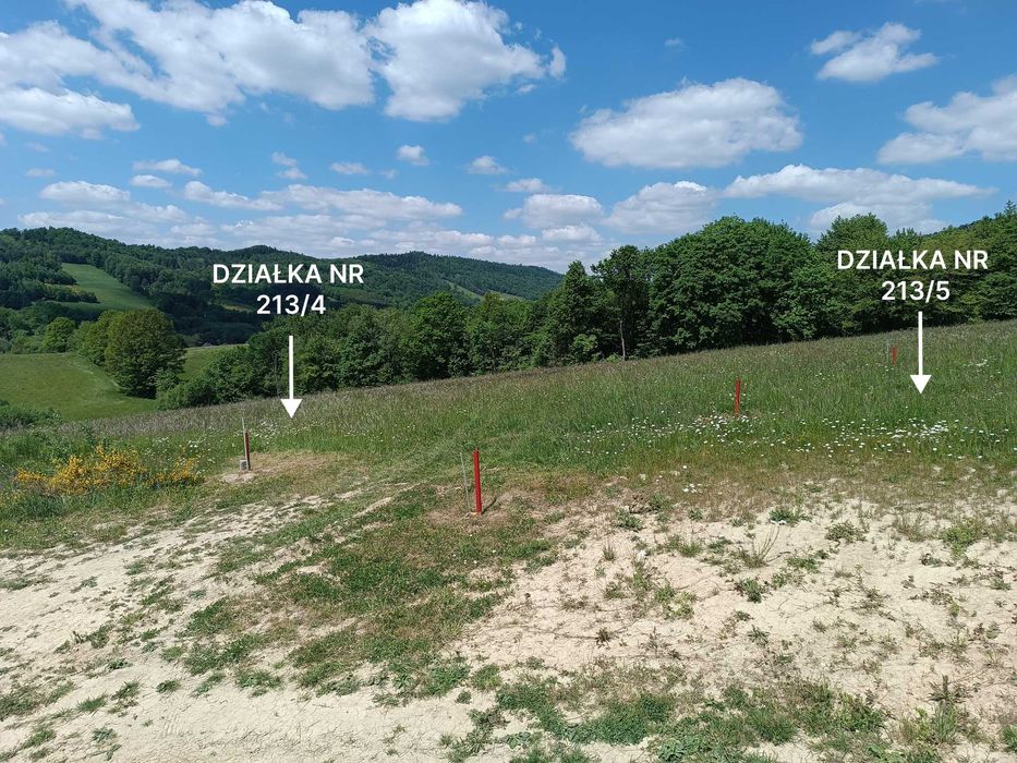 Działka rekreacyjna - Wujskie k. Sanoka, widok na Bieszczady