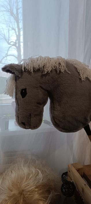 Hobby horse ujerzdżeniowy