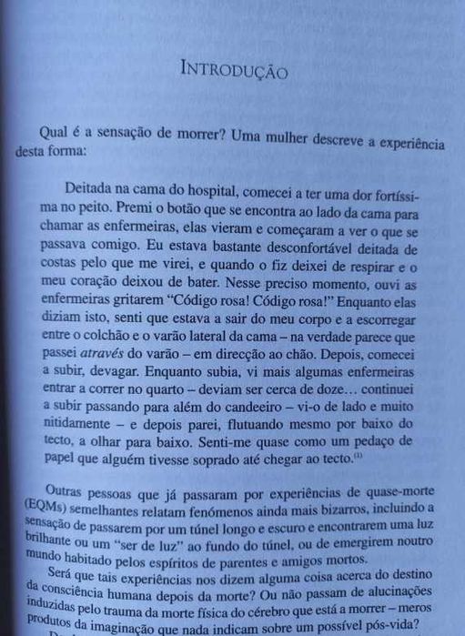 Vida Depois da Morte; A ciência na fronteira do mistério - Ken Wilber