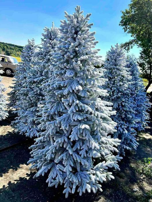 Віденська засніжена ялиночка.Лита ялинка