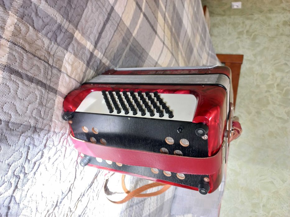 Акордеон ( аккордеон ) Hohher