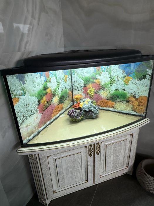 Акваріум для рибок