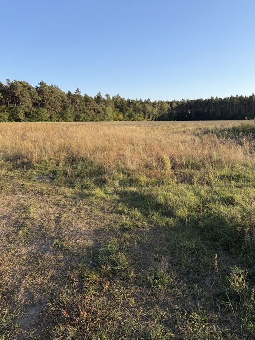 Działka budowlana 770 m² w Betkowie – ul. Cisowa, blisko lasu
