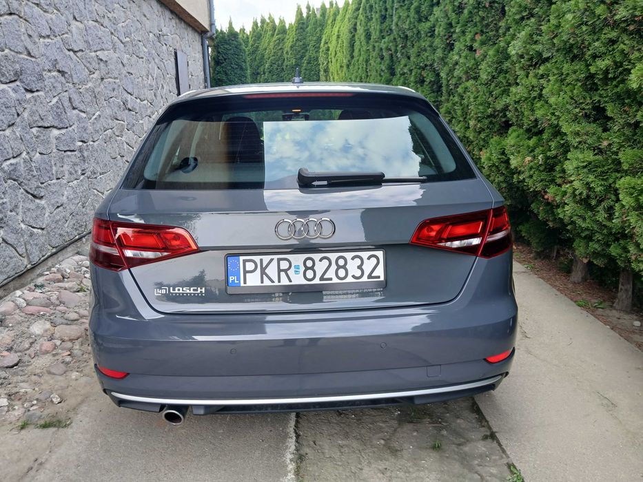 Audi A3 1,6 diesel zarejestrowane