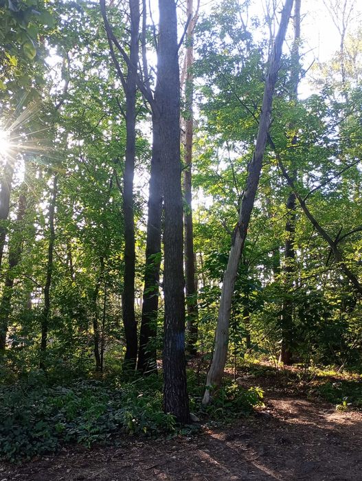 Mieszkanie – Marki, Centrum, powiat wołomiński - Widok 4