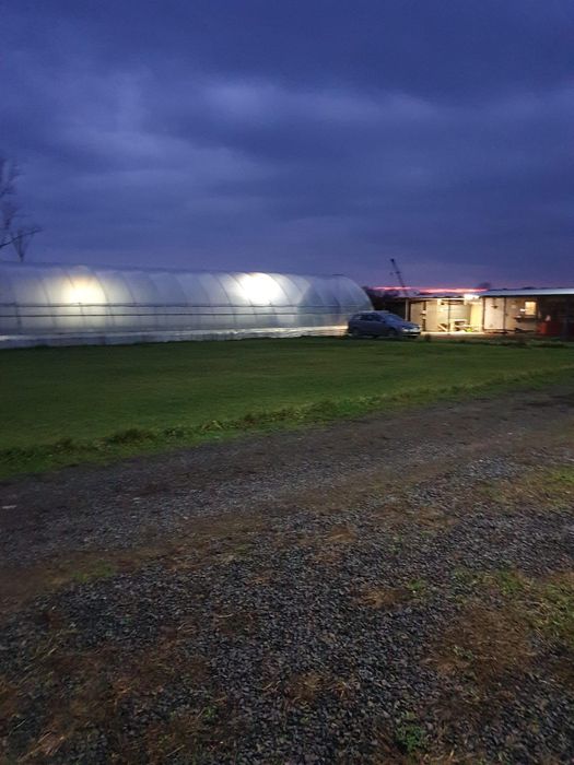 Оренда 1,3 Га землі (2 км від Мукачева)