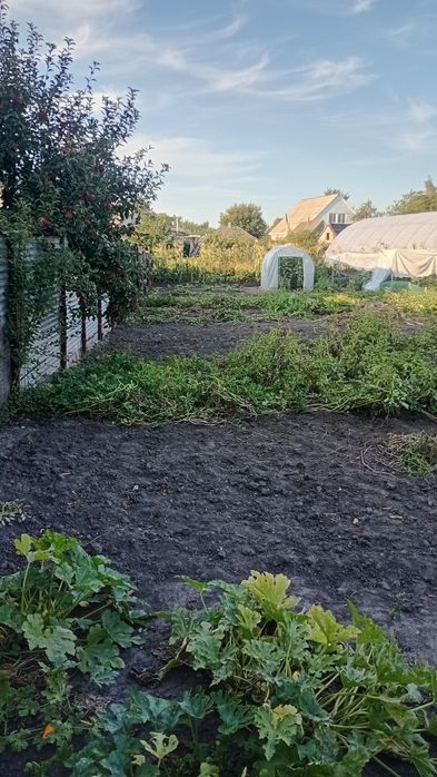 Продається будинок  70 квадратів від власника, район Плискунівка