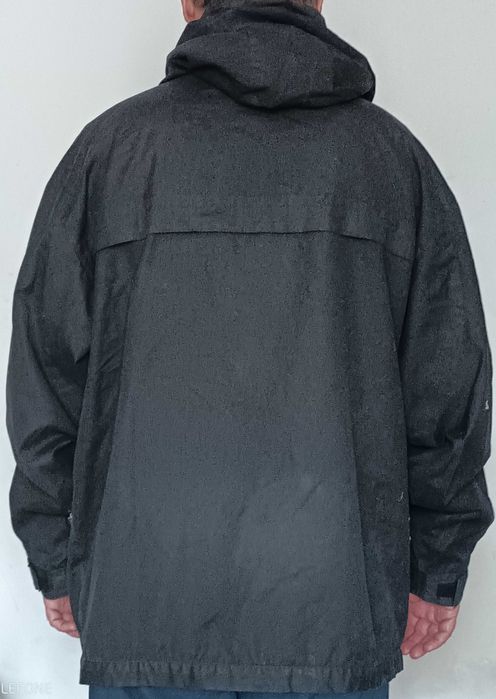 Kangurka jesienno-wiosenna