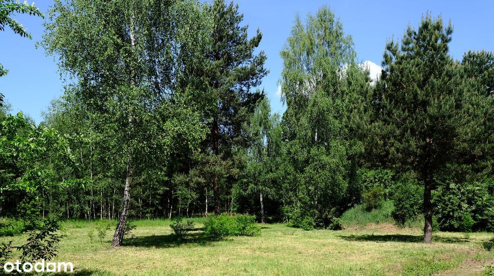 Działka budowlana, ul. Hektarowa