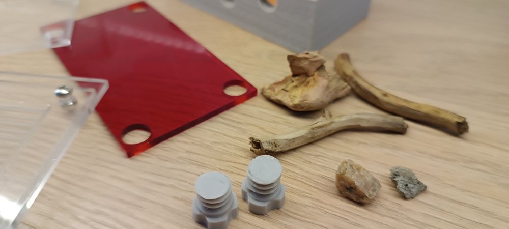 Formikarium dla mrówek