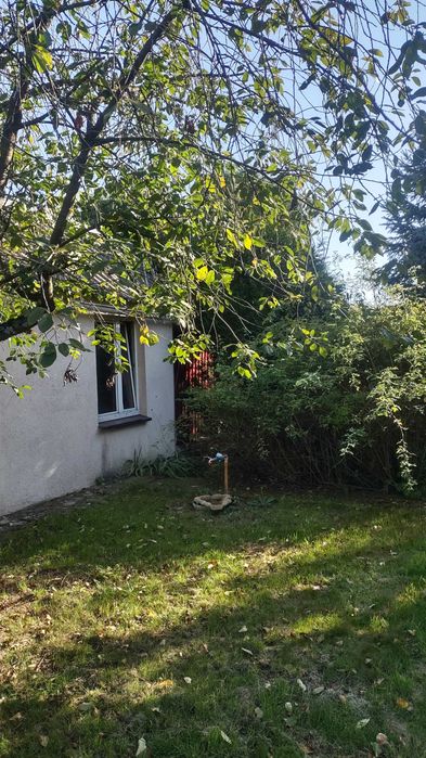 Działka ogrodowa 402 m² ROD Koplin ul Fabryczna - Widok 3