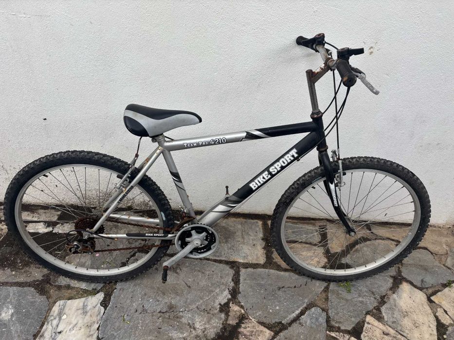 Bike Sport Team Pro 4210
