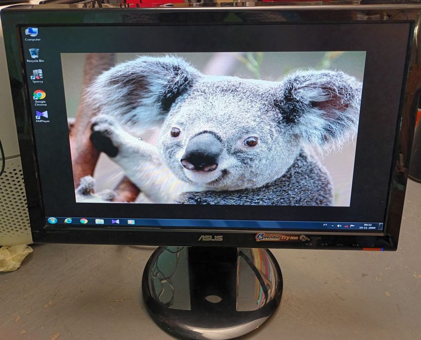 Monitor ASUS 19 Polegadas