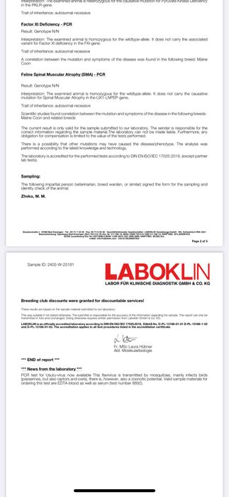 Мейн кун на парування