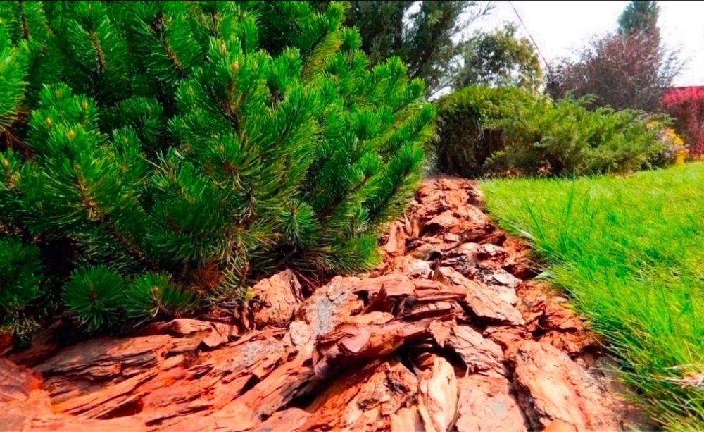 Соснова кора для ландшафта