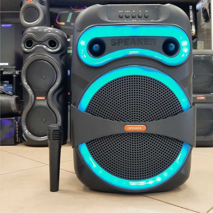 Караоке Bluetooth колонка | 12" | Бездротовий мікрофон