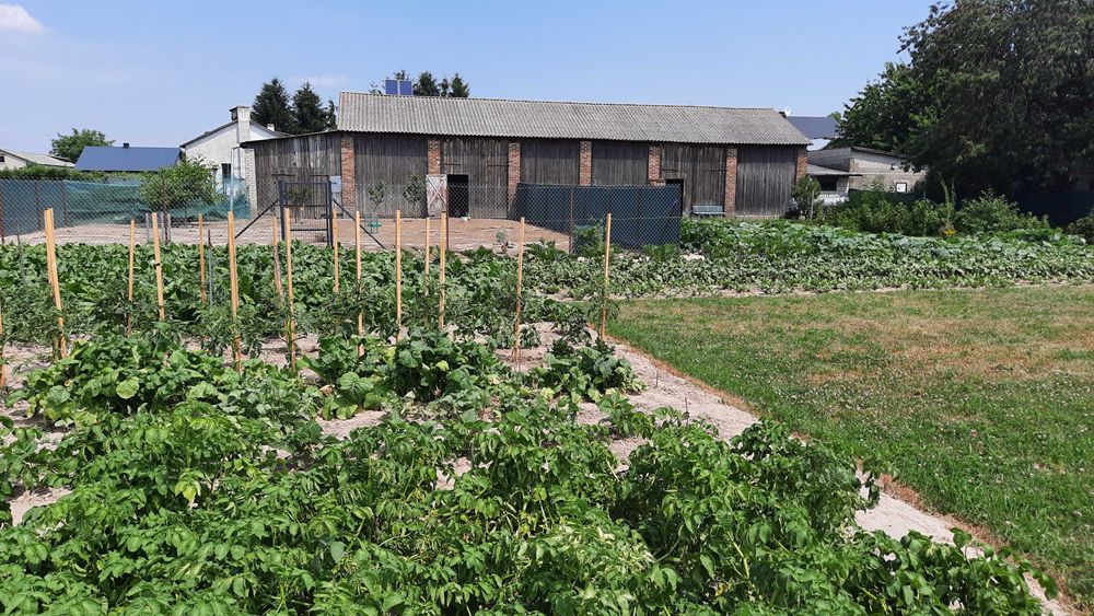 Dom, budynki gospodatcze plus ogród