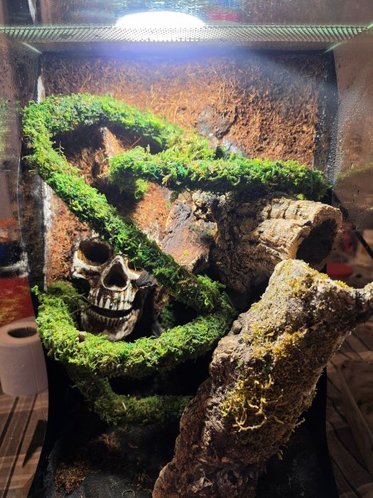Terrarium bioaktywne