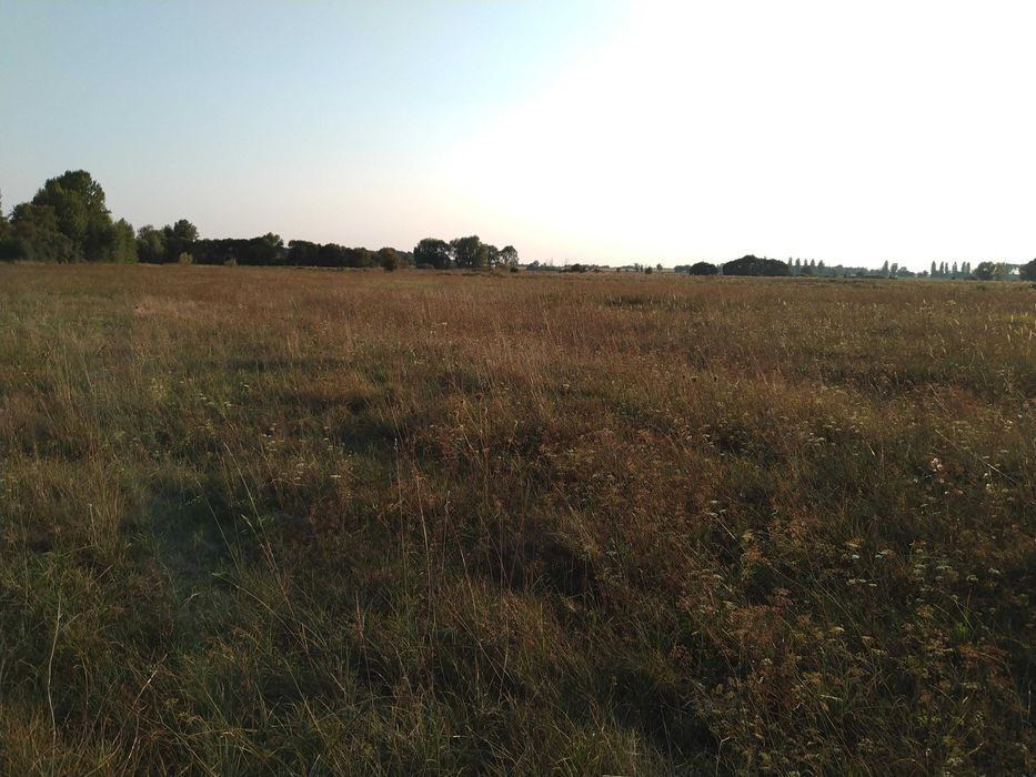 Продам земельну ділянку