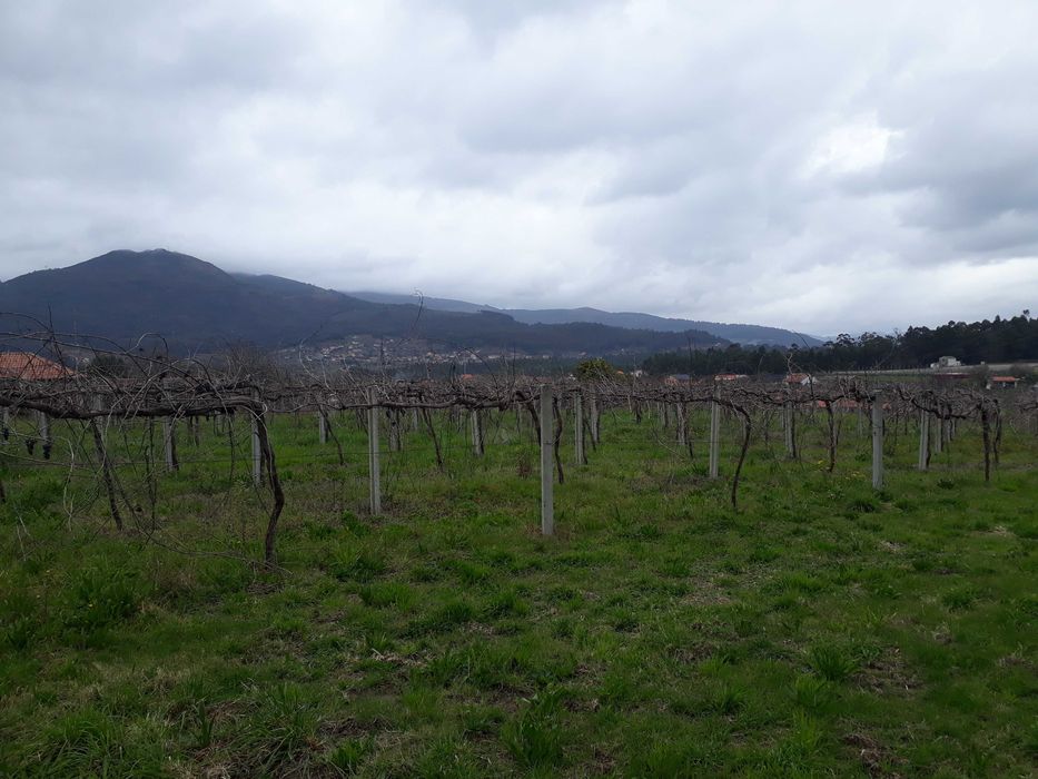 Terreno para construção