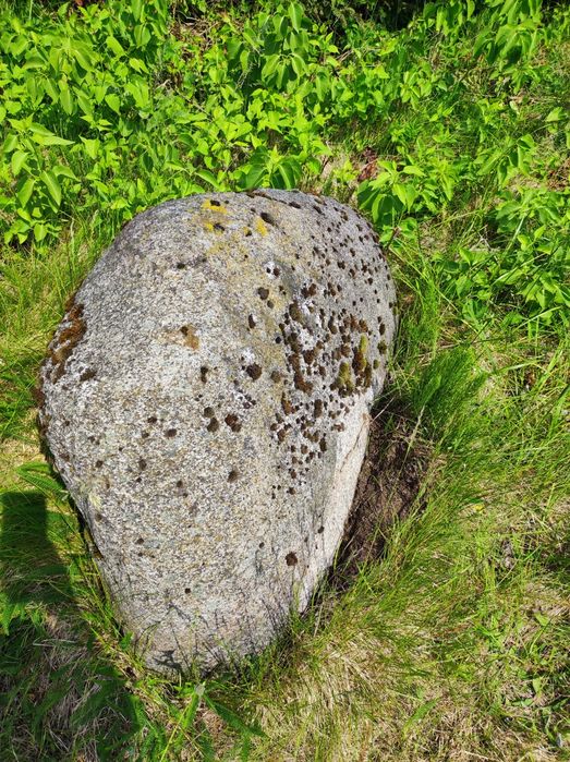 Kamienie dekoracyjne z ogrodu