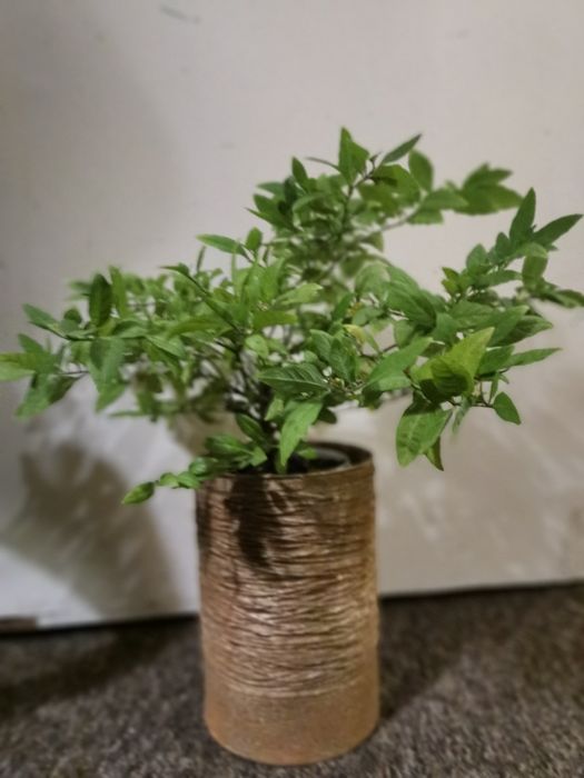 Doniczki z recyklingu