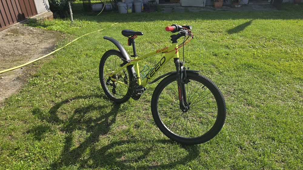 Rower XEED XCJR 24"