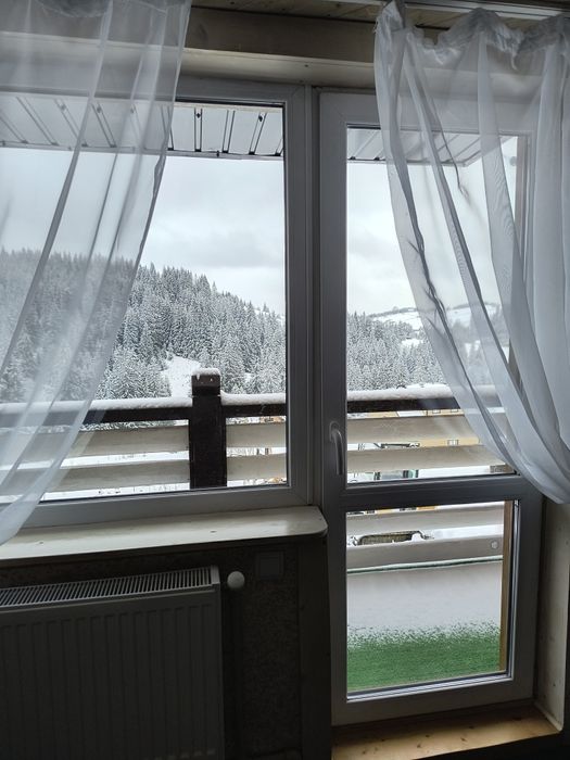 Відпочинок в Карпатах Mountain Dew