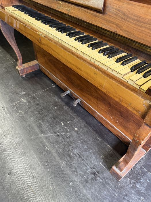 Pianino Calisia