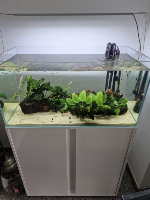Aquário todo equipado