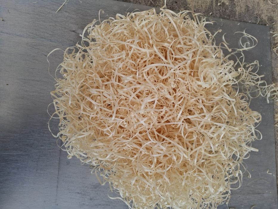 Wełna drzewna sucha cena za 1kg