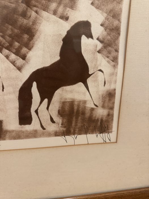 Cavalos de Horta e Costa, emoldurados.