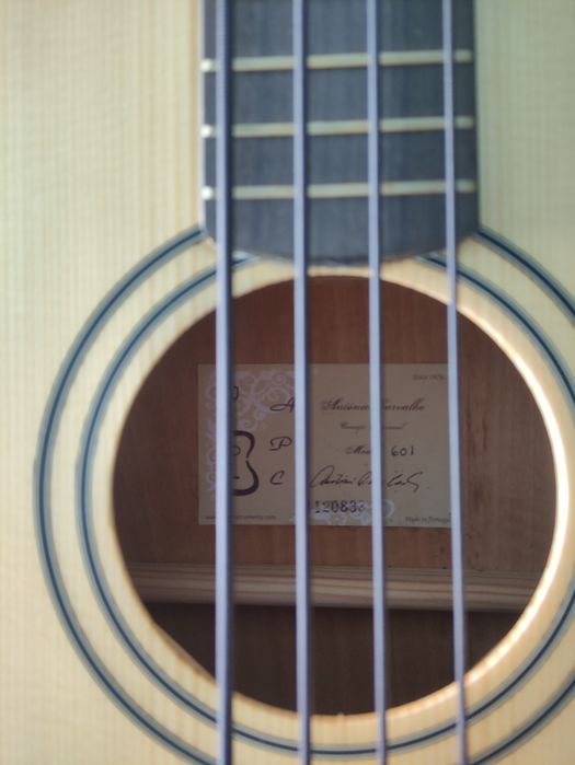 Viola baixo António Carvalho APC