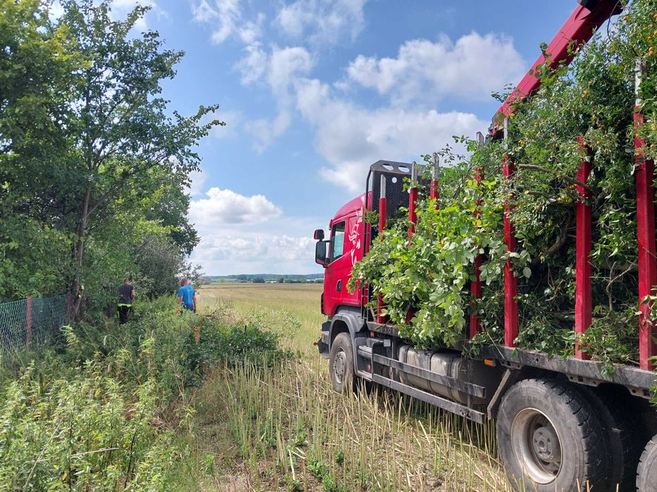 Wywóz gałezi, czyszczenie działek,