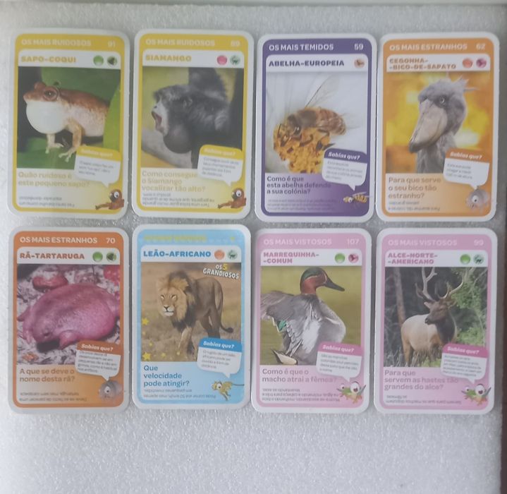 8 cartas pingo doce super animais
