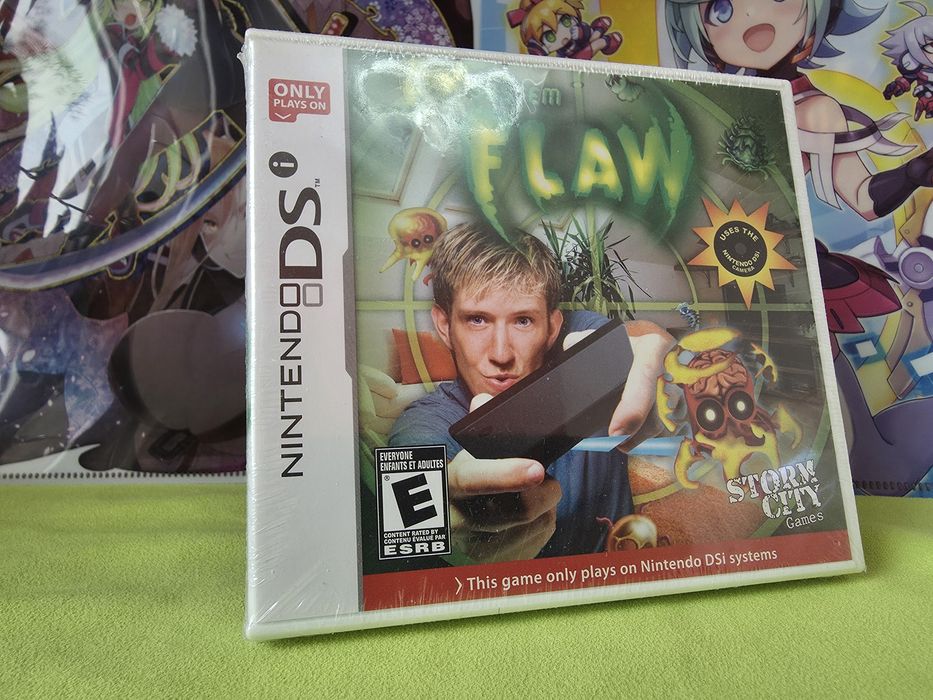Nintendo DSi System Flaw