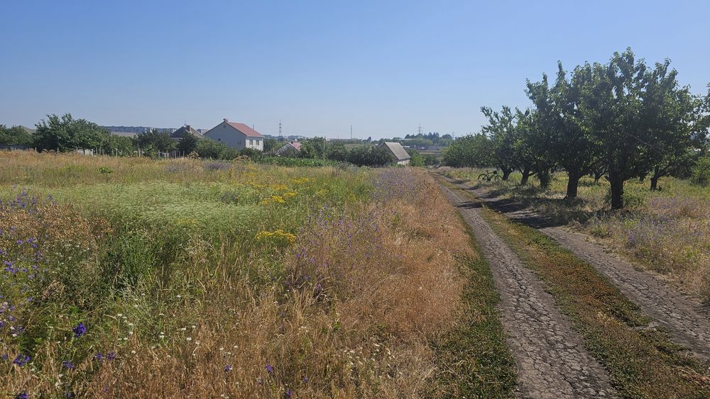 Продам земельну ділянку с. Соколівське