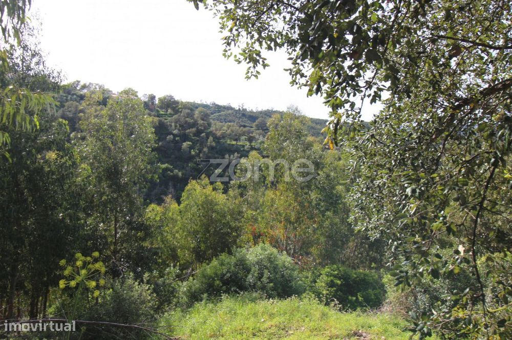 Terreno Rustico em Portalinhos - Monchique