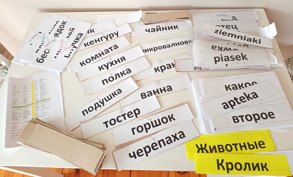 duży zestaw karty do nauki czytania metoda domana po rosyjsku polsku