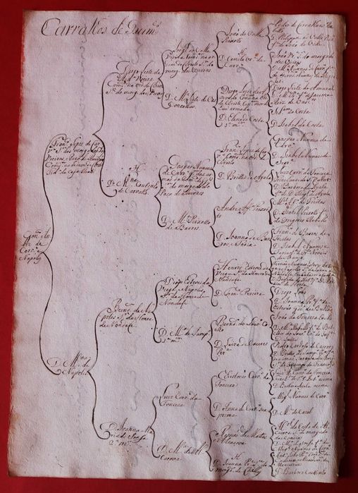 Albuquerques de Penalva // Carvalhos de Guimarães 2 árvores costados