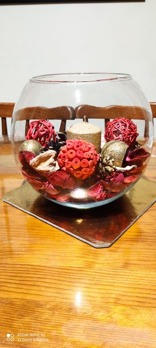 Spherical Glass Aquarium64738465754754120