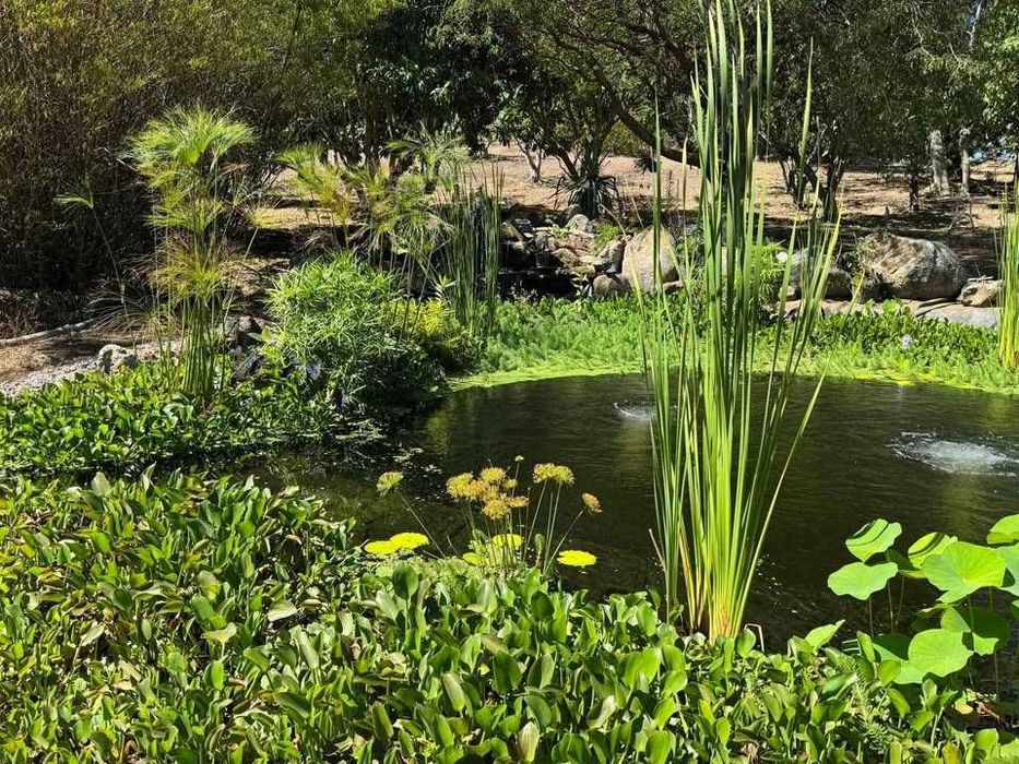 Projetos de Paisagismo exterior