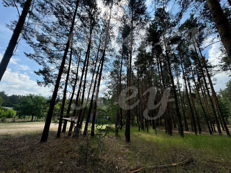 Продам НАЙКРАЩІ ділянки в МАЛЬОВНИЧОМУ місці, 27соток ,с.Проців, ЛІС