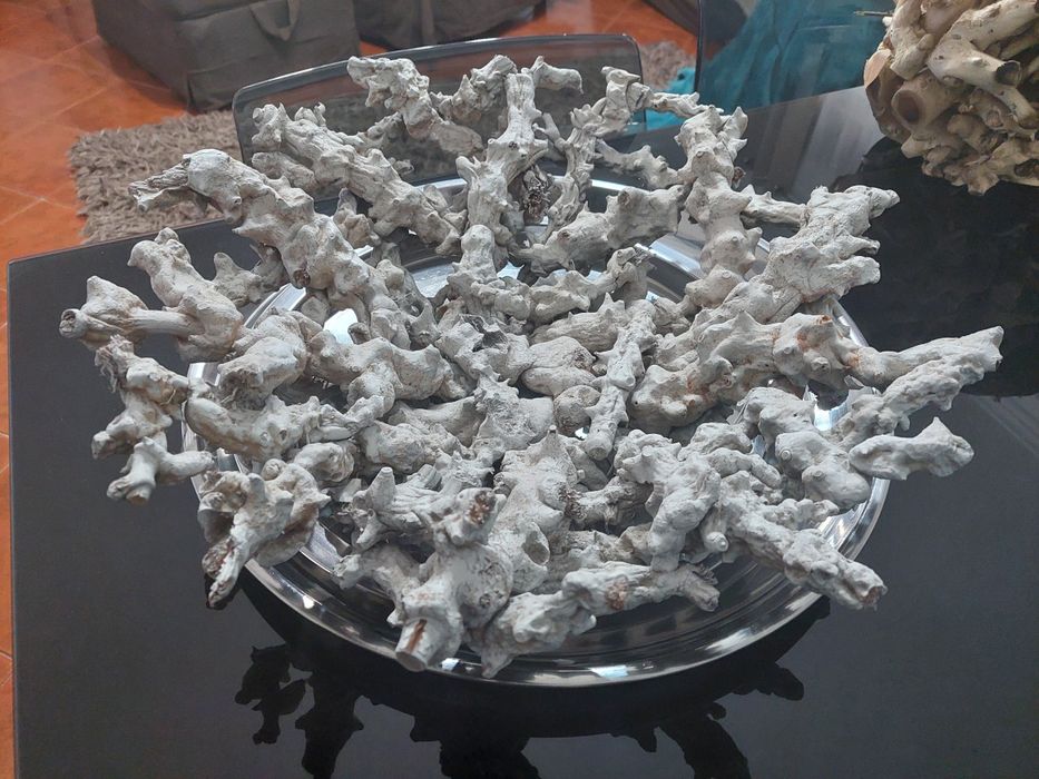 Arranjo e traça de troncos