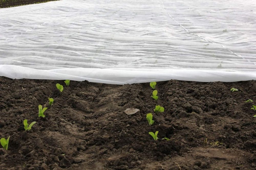 Agrowłóknina na przymrozki  P23 12,65x100m 650 zł !!! PROMOCJA